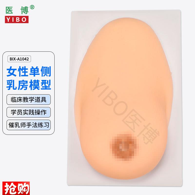 医博BIX-1042成人女性单侧硅胶乳房模型仿真触感催乳手法Y训练教