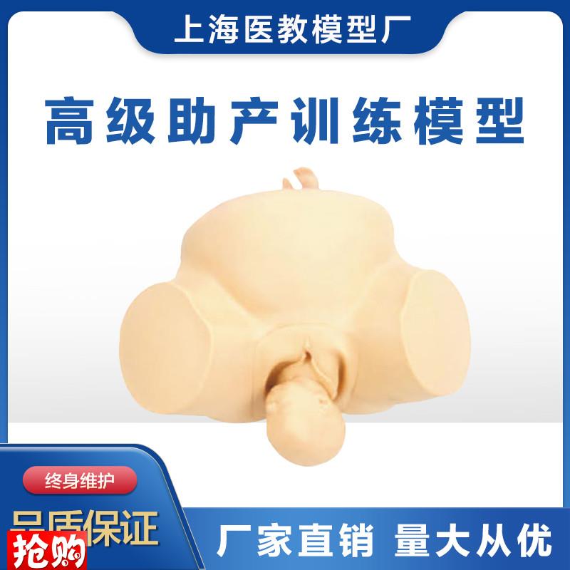 助产训练模e型人体模型分娩助产练习模型胎儿模型妇产科训练