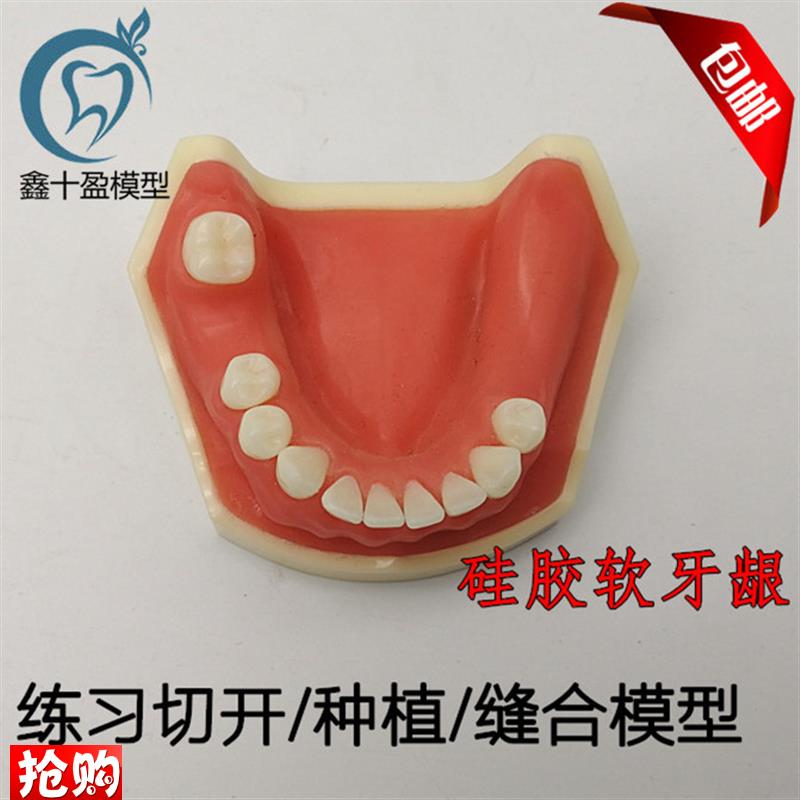 牙科口腔种植练习模型学生练习切开C缝合种植模型下颌种植2029下