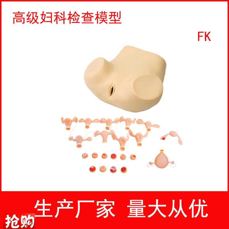 妇科训练模型,妇科n检查模型,妇婴训练模型护理模型妇产科培训用