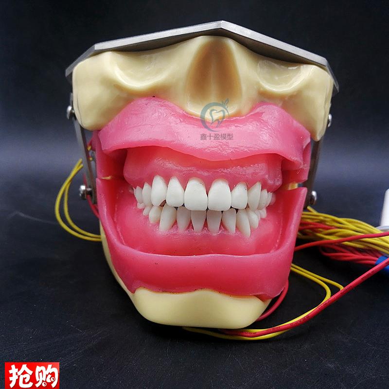 牙科拔牙练习模型麻醉牙模软A牙龈带蜂鸣器款可按头模语音提示