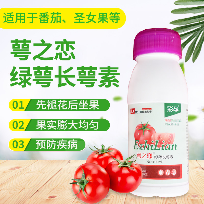 番茄专用绿萼片拉长萼片果帽顺长喷花药点花药沾花药绿萼长萼素