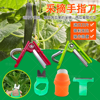 戒指采摘手指刀葡萄黄瓜西瓜打岔叉掐须打尖摘果拇指小砸刀剪刀厂
