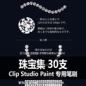 A1 387 CSP笔刷珠宝集 30支 CLIP STUDIO PAINT