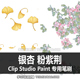557 STUDIO CSP笔刷 粉紫荆 CLIP 银杏 优动漫笔刷 PAINT