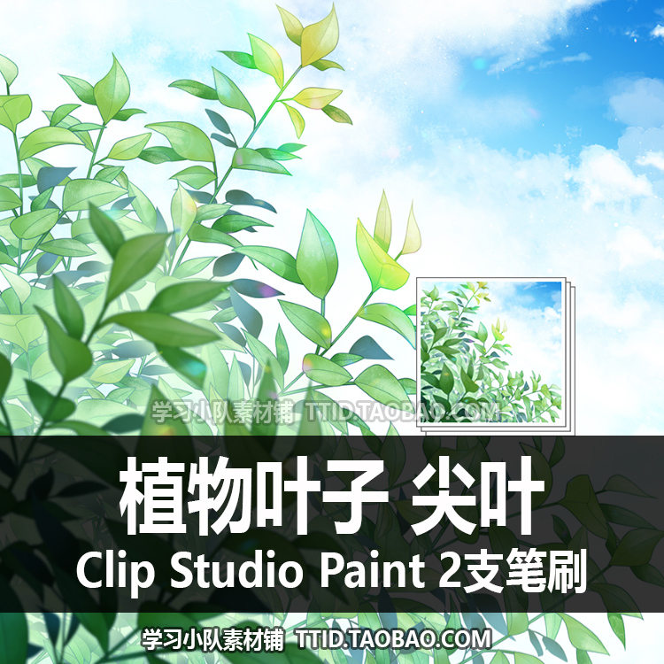 A1 355 CSP笔刷 植物叶子 尖叶 2支 CLIP STUDIO PAINT