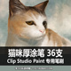 213 STUDIO CSP笔刷 猫咪厚涂笔 CLIP 厚涂 36支 PAINT