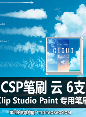 A1 299 CSP笔刷 云 6支 CLIP STUDIO PAINT