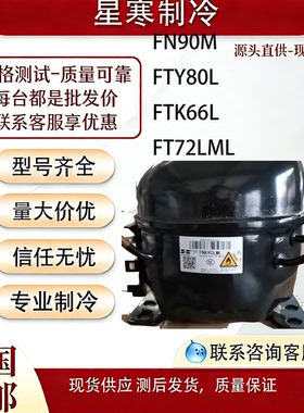 华光原装R290制冷剂压缩机FN90M/FTY80L/FTK66L/FT72LML