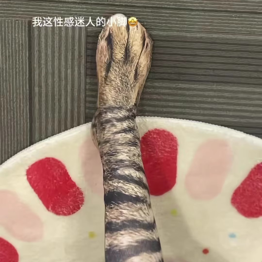 3D仿真动物爪搞怪中筒女袜