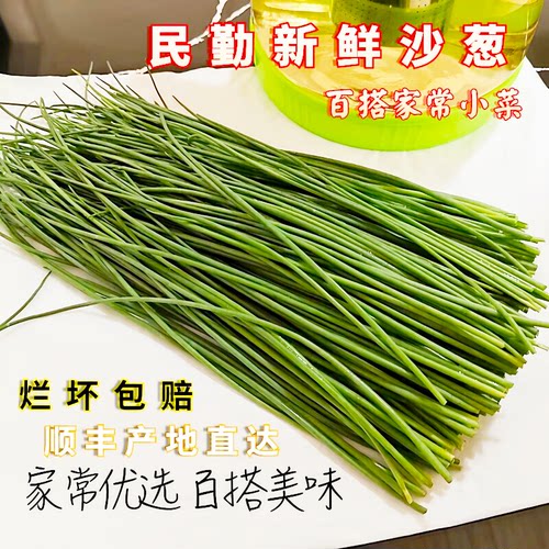 民勤沙葱新鲜现采净菜捆装顺丰