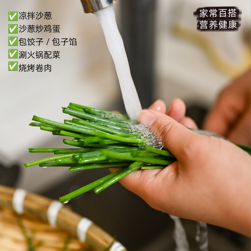 民勤沙葱新鲜商用百搭火锅蔬菜