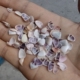 天然小贝壳 儿童幼儿园手工diy材料 彩色白色紫色瓜子贝指甲贝