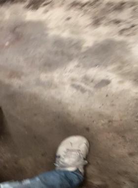 适用GOORUi高瑞 漩涡风机 增氧泵 GHBH 7D5议价