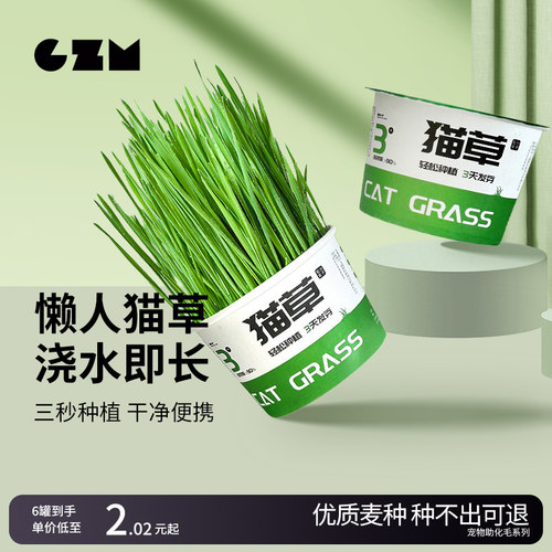 猫草盆栽懒人种植猫草杯猫草种子猫薄荷化毛