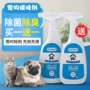 Pet khử trùng khử trùng chó khử trùng trong nhà để nếm nước hoa mèo và chó để xịt khử mùi vị nước tiểu - Cat / Dog Beauty & Cleaning Supplies bàn chải lông mèo