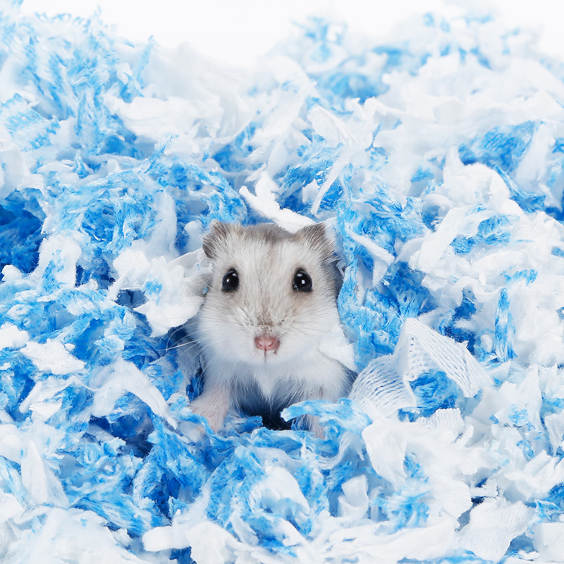 仓鼠纸棉金丝熊木屑无尘纸粒纸屑垫料除臭花枝鼠小宠冬天保暖用品