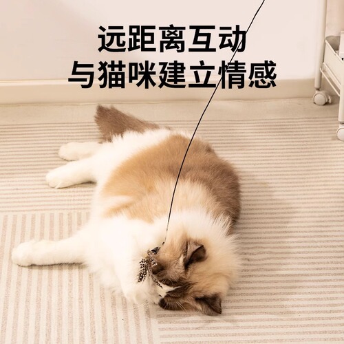 CFA-level cat teaser stick cat toys small flying insect feather replacement head resistant kittens supplies self-reliving boredom