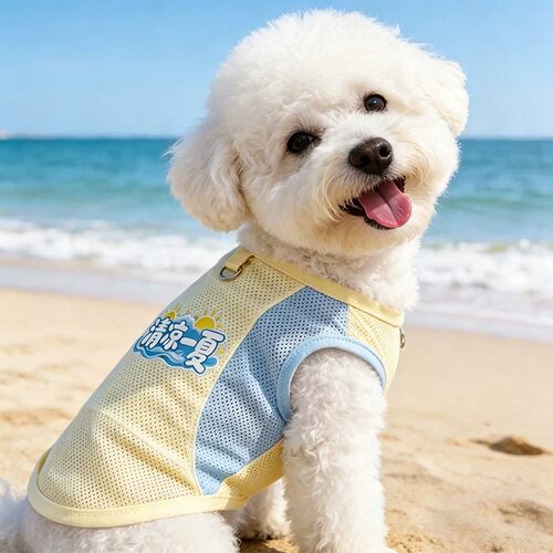 夏季狗狗衣服撞色网眼透气背心式宠物服装可爱比熊泰迪薄款马甲