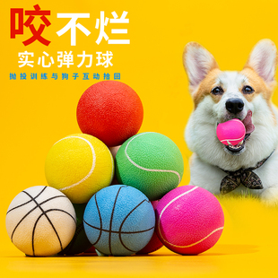 狗狗玩具球耐咬幼犬实心球大型犬马犬磨牙弹力球宠物训练狗用品