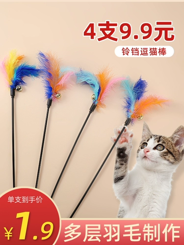 Дразнящая кошка котенок котенок дразнящие кошки принадлежит Daquan