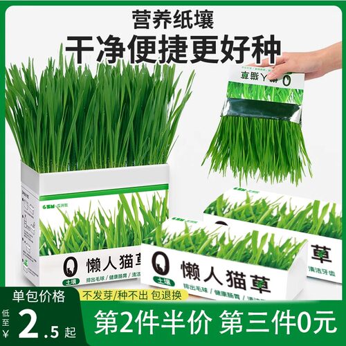 猫草冬天盆栽化毛球片懒人种籽种子去毛球冻干粒猫零食猫咪猫薄荷