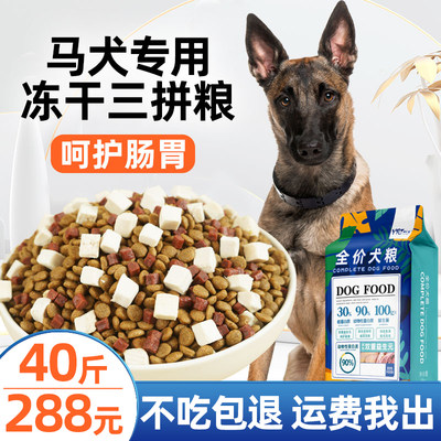 益仁佳马犬比利时狗粮通用型