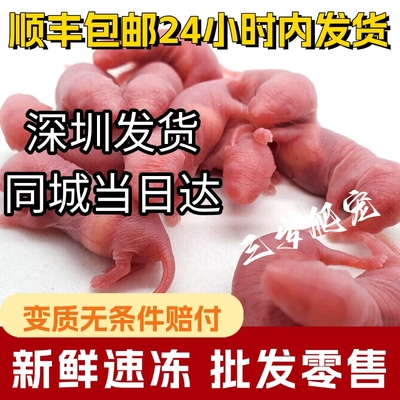 无菌冷冻小白鼠红皮粉皮白霜开口乳鼠猫角蛙龟宠物蛇爬宠饲料