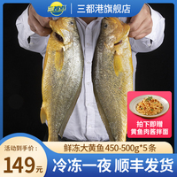 三都港鲜冻大黄花鱼新鲜生鲜鲜活冰鲜海鱼宁德黄花鱼450-500g*5条