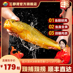 三都港冰鲜深水大黄鱼1.2-1.3斤*2条 宁德现捕深水黄花鱼生鲜年货