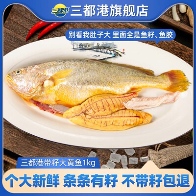 三都港深海洄游带籽黄鱼1000g  新鲜冷冻宁德大黄鱼黄花鱼籽商用