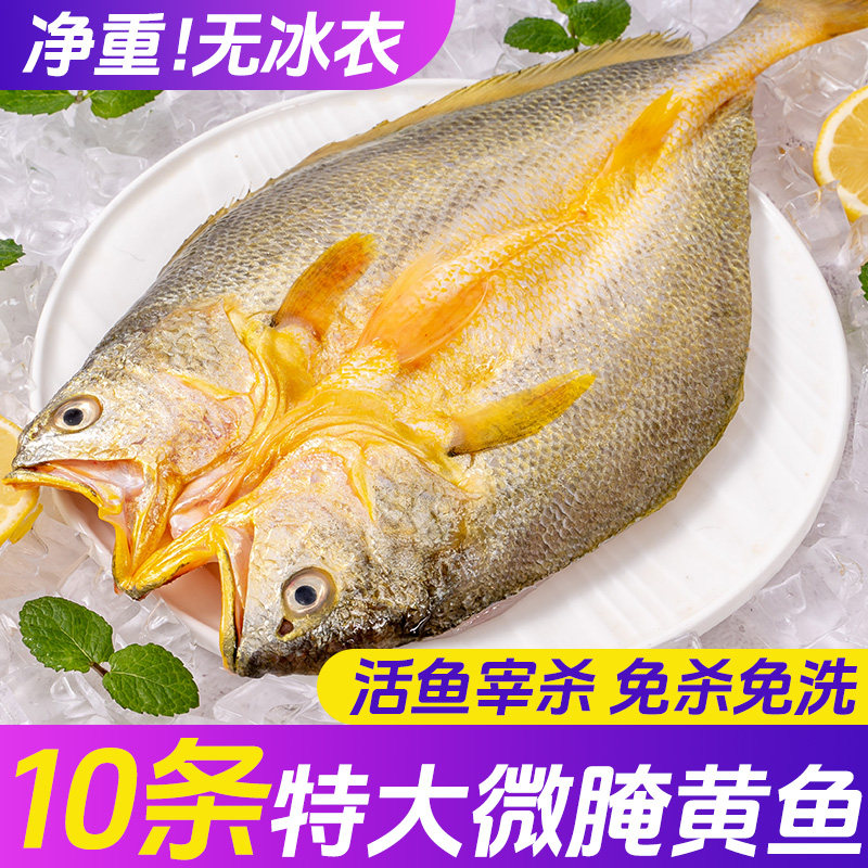 三都港生鲜免洗黄鱼鲞黄花鱼图片