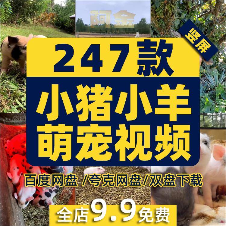 竖屏小猪小羊宠物萌宠搞笑动物国外高清解压短视频小说推文素材