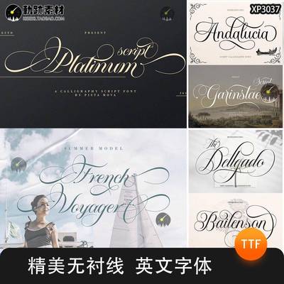 优雅奢华婚礼贺卡封面标题LOGO设计书法手写PS英文字体安装包素材