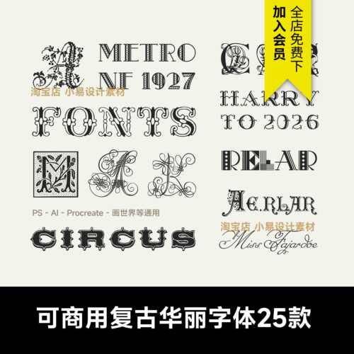 免费可商用复古华丽蕾丝花体英文字体安装包字库PS-procreate素材