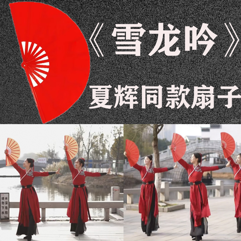 夏辉雪龙吟扇子太极功夫舞蹈扇子