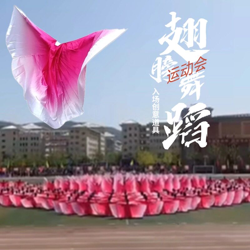 运动会入场开幕式道具翅膀舞蹈彩色渐变翅膀团体操舞出场演出专用 - 实物图