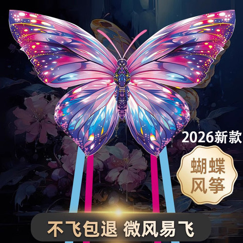 风筝大人专用微风易飞2025新款