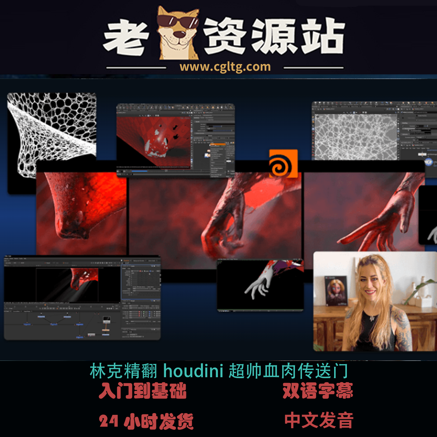 林克精翻houdini超帅血肉传送门