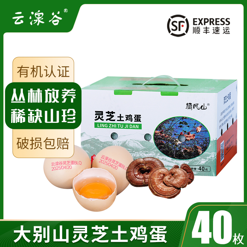 云湶谷灵芝鸡蛋整箱40枚新鲜鸡蛋有机鸡蛋山间林下放养顺丰包邮