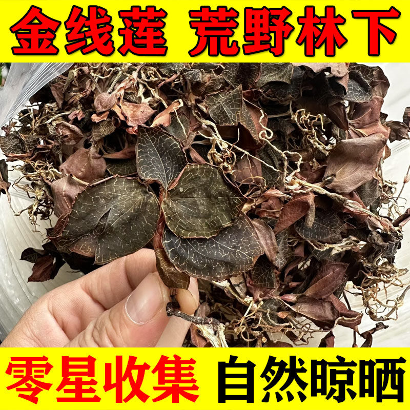 荒野金线莲正宗福建深山林下三年生整株干货特级正品养肝护肝滋补