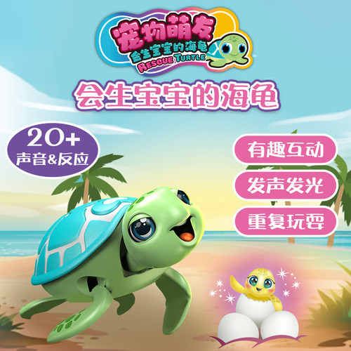 瑞华行银辉会生宝宝的海龟