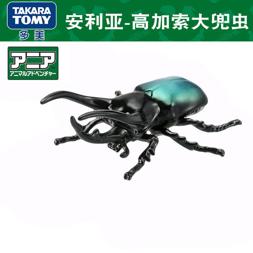 多美卡安利亚高加索大兜虫模型