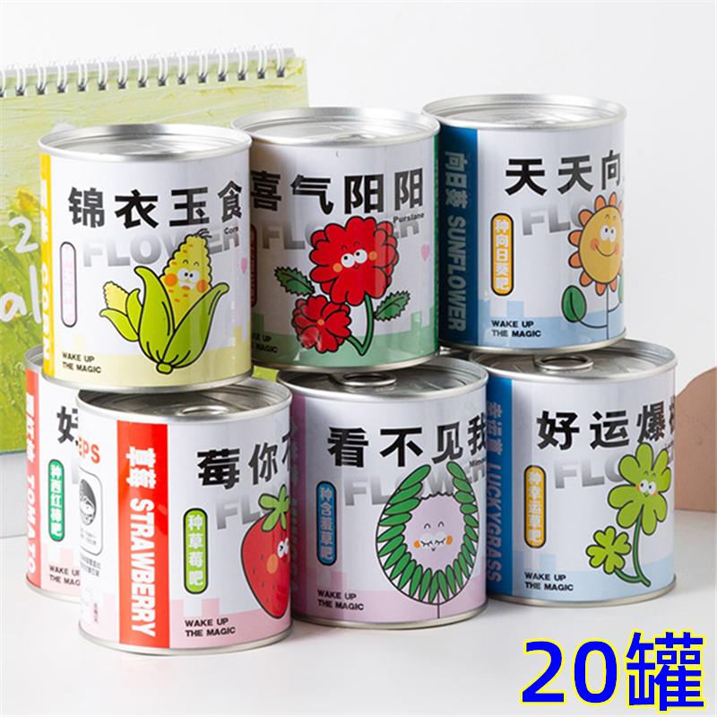 创意迷你易拉罐种植植物种子盆栽