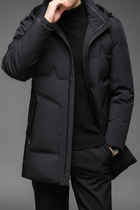 B2186钱塘2020-3冬季连帽男士羽绒服90白鸭绒中年商务休闲P310图片