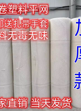 整卷塑料平网养殖网烟台防护网封窗网脚垫网鸡鸭鹅围栏网育雏网