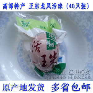 正宗13天高邮邮缘龙凤活珠子鸡胚蛋喜蛋非毛鸡蛋旺蛋40只装包邮