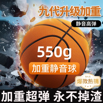 德国进口室内无声静音篮球
