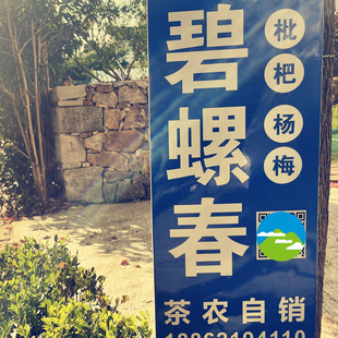 携翠新茶苏州东山洞庭碧螺春明前芽尖一芽一叶二叶炒青茶农包邮