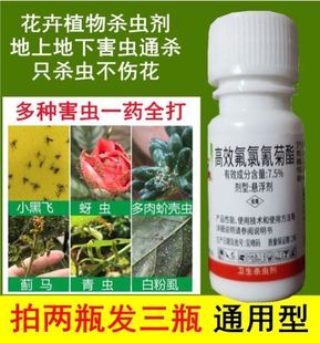 花盆里有小虫花土里太阳花长寿花杀虫剂虫子药月季 除虫药小黑虫